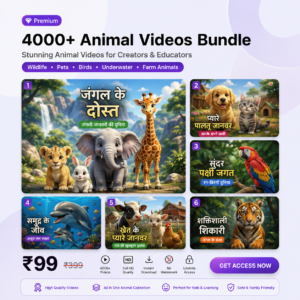 4000+ Animal Video Bundle